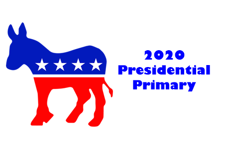 US Presidential Primary Model Q&A